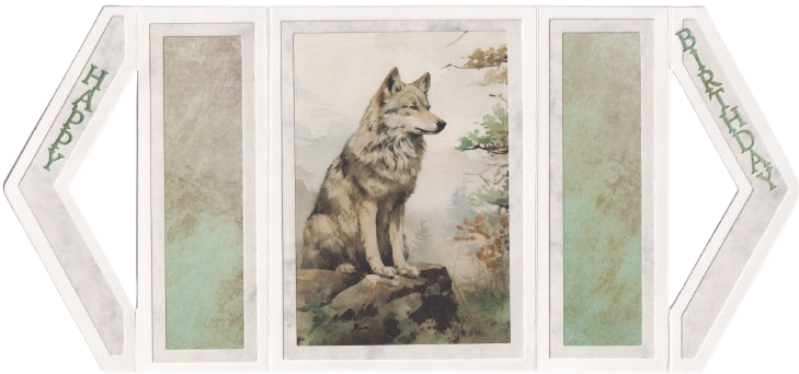 Kaart 7 vorm removebg preview