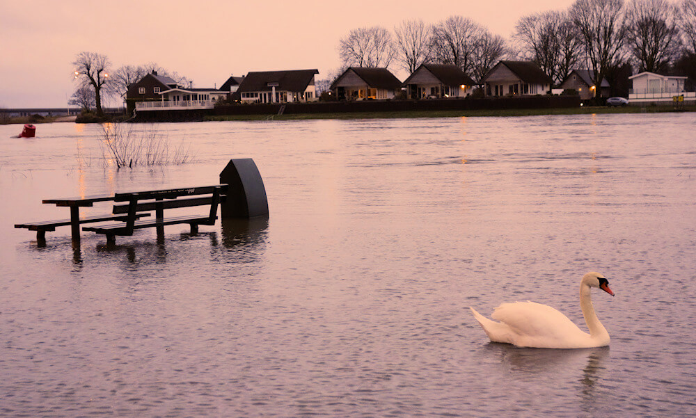 Hoogwater Well ad Maas 200308 RS